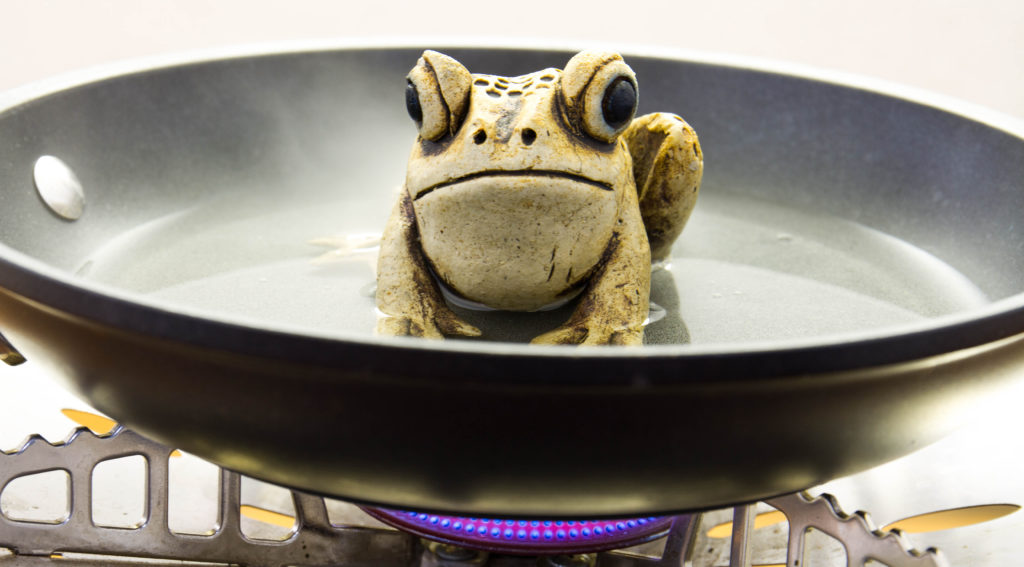 Uncertainty Changes Behaviour (But Boiling Frogs Doesn’t)