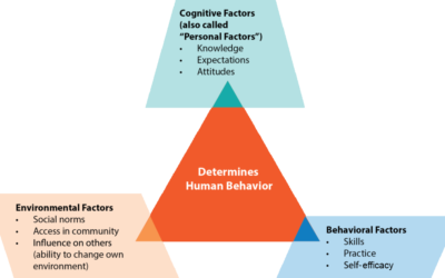 Social Cognitive Theory