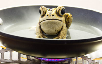 Uncertainty Changes Behaviour (But Boiling Frogs Doesn’t)